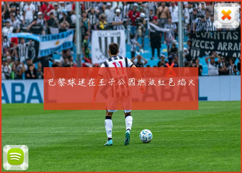 巴黎球迷在王子公园燃放红色焰火